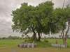 Chichele Presidential Lodge - lunch under tree